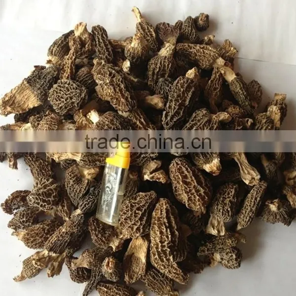 Organic Morels Conica Mushroom Dried Morel photo-5