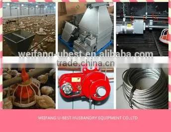Hot Sale Agricultural Automatic Sheed Poultry Equipment photo-6