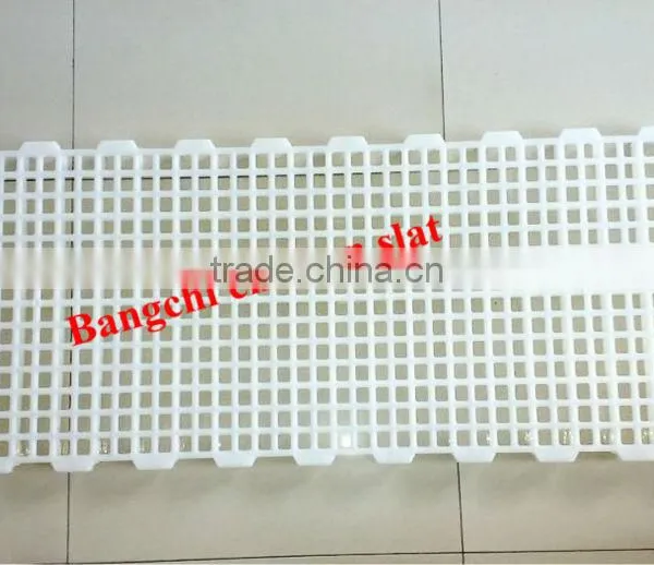 Plastic Slat Poultry Chicken Floor for Farming Equipment photo-5