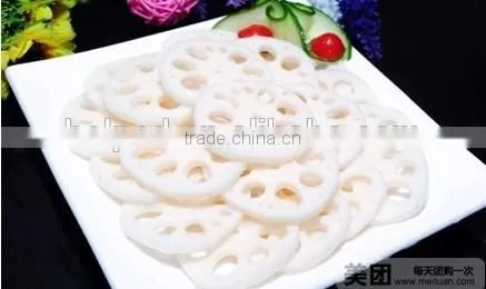 Garlic Slicer Machine photo-3