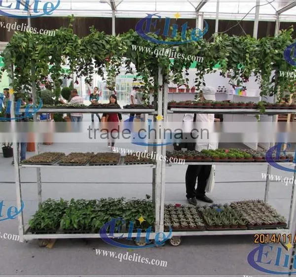 354 Plantation Trolley photo-3