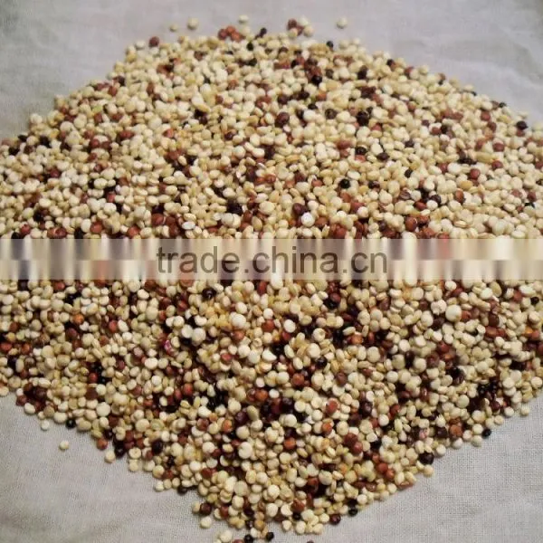 Quinoa Seeds Sorting Machine Color Sorter Machine photo-2