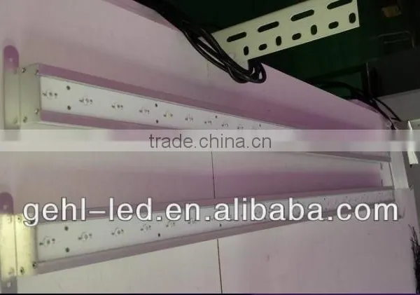 Gehl 2015 Hot Sale Grow Room Led Strip Grow Lights photo-5