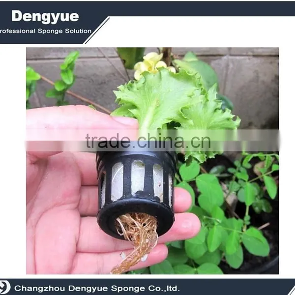 Agricultural Polyurethane High Densuty Seeds Grow Sponge Germination Foam photo-2