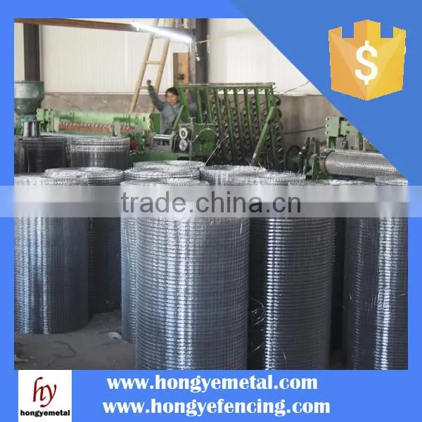 High Purity 20Mesh Tungsten Wire Screen Mesh photo-2