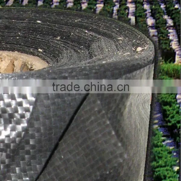 Good Price of Woven Fabric Plastic Ground Cover Mat for Garden photo-4