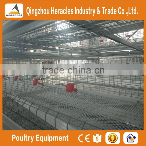 Shandong Heracles Trade Assurance Poultry Farming Equipment Chicken Layer Cage for Sale photo-5