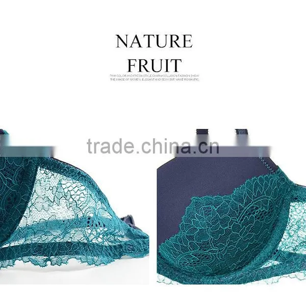 Net Western Style Underwear White Sexy Lace Bra Transparent Lace Bra photo-2