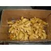 Fresh Ginger/Dried Ginger