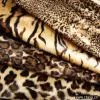 Sell Short Velboa