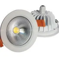 10W IP65 COB Downlight