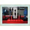 Surface Drive Progressive Cavity Pump (PCP ) photo-2