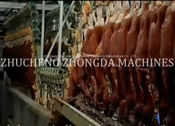 Good Quality Full Set of Chicken Abattoir Machine Line photo-4
