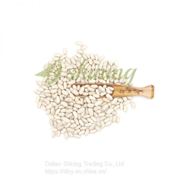 Spanish White Kidney Beans photo-4