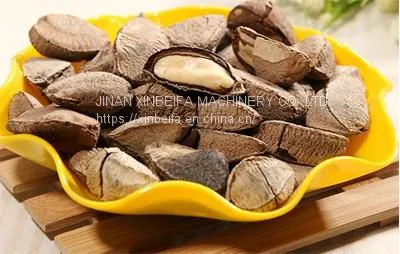 Abalone Fruit Drying Machine photo-4
