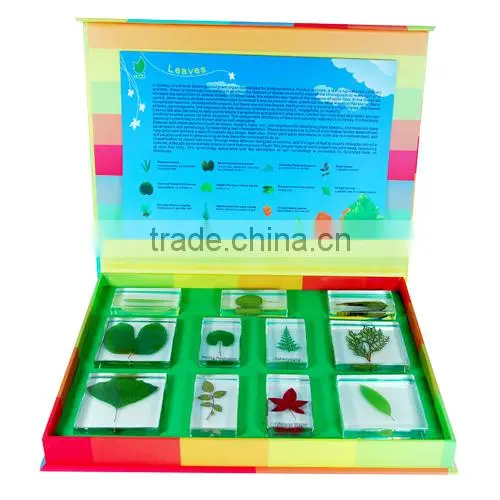 Leaves Specimen Set for Kids Educational Use