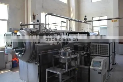 Vacuum Dryer for High-concentration Compound Fertilizer