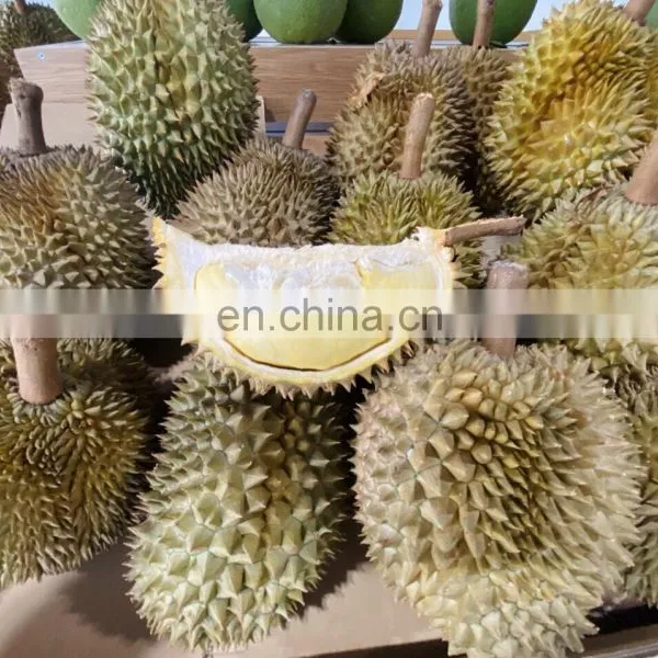 Good Price Wholesale Fresh Durian 100% Natural Premium Made In Viet Nam photo-4