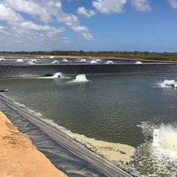 White Shrimp Aquaculture Anti-seepage Measures 8 Meters Wide, 420 Meters Long, and 0.5mm Thick HDPE Geotextile Film photo-3