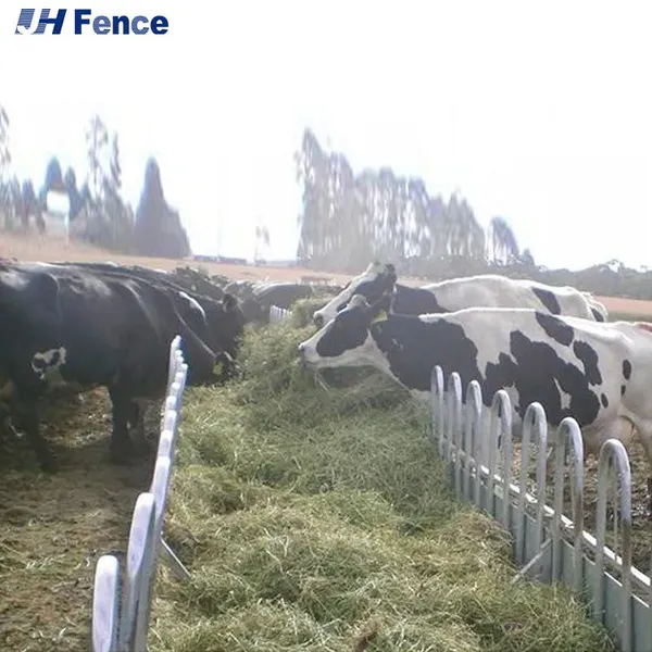 Large Cattle Feeder Trough Concentrated Automatic Feeder Calf Cattle Feeder With Roof