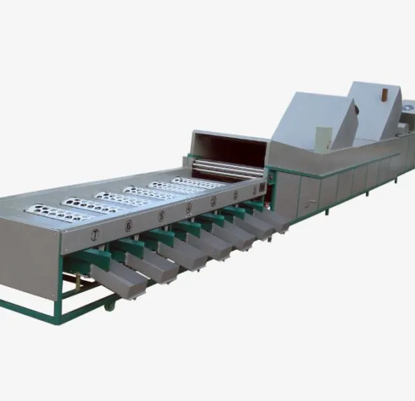 Fruit Washing Drying Waxing Grading Sorting Machine photo-2