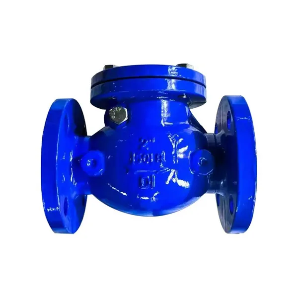 Factory Direct Sales of High-quality Flange Connection Rotary Check Valve