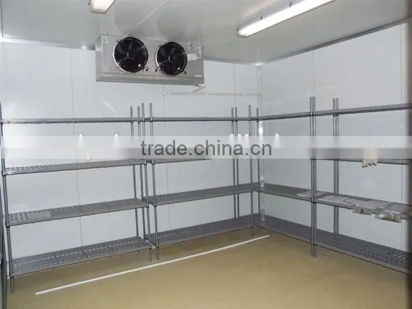 Dragon Fruit Refrigerating Room With Different Temperature photo-5