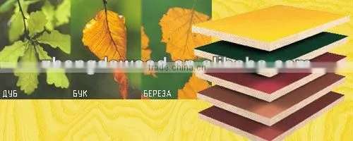 Top Quality Film Faced Plywood photo-3