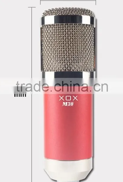 Professional Diaphragm Condenser Microphone for High Standard Recording photo-2