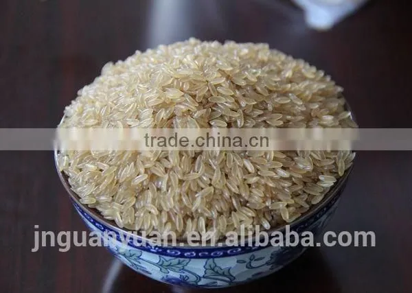 Nutritional Rice Processing Machinery photo-2