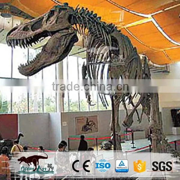 Life-Size Dinosaur Skeleton photo-3