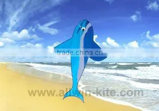 Kites Flying Toys