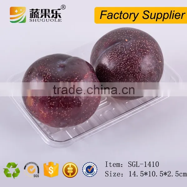 Blister Plastic Disposable Food Fruit Tray photo-2