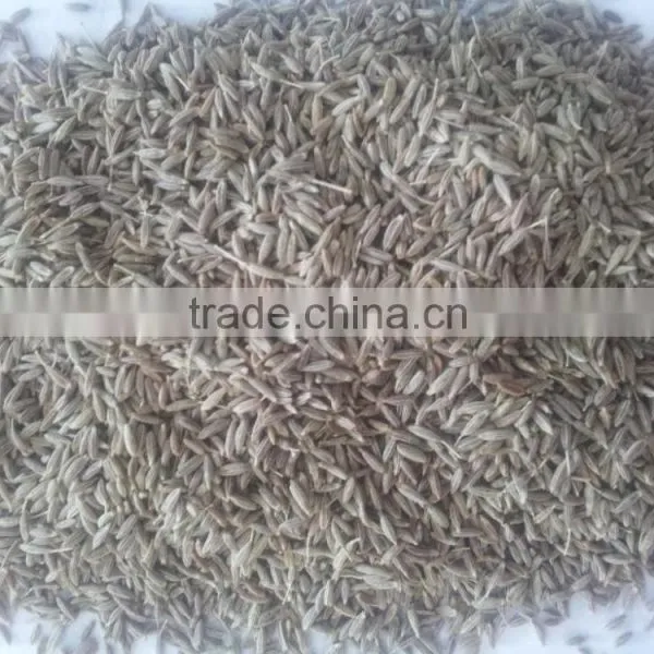 Cumin Seed Singapore Quality New Crop 2016 photo-2
