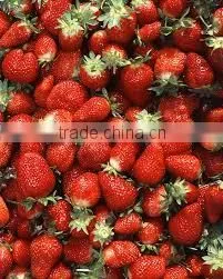 Strawberry photo-3