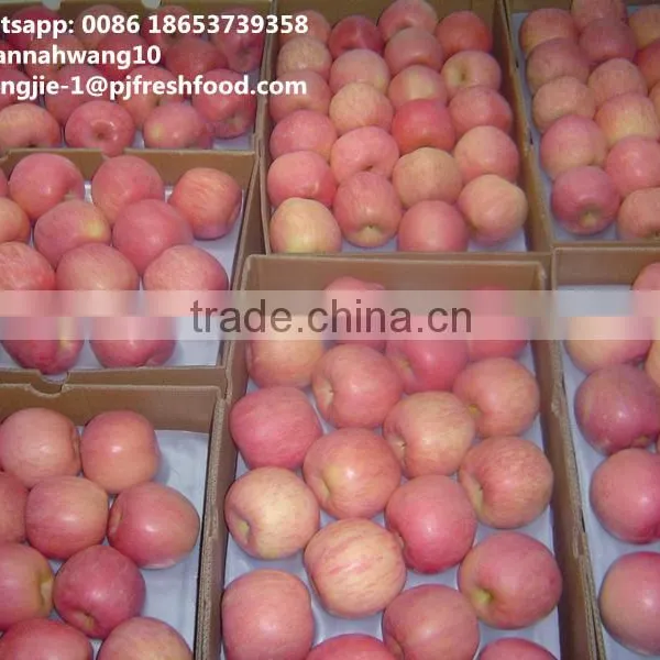 2016 Fresh Fuji Apple photo-4