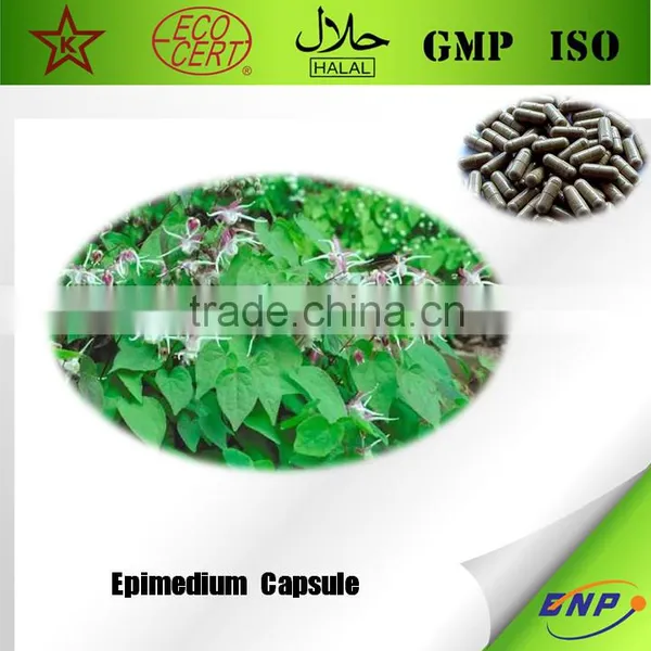 Qingdao BNP Sells High Quality Epimedium Extract Capsule