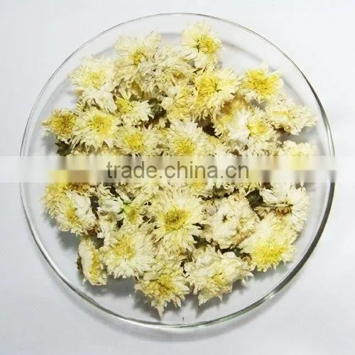 Flos Chrysanthemi Dried Flower Tea