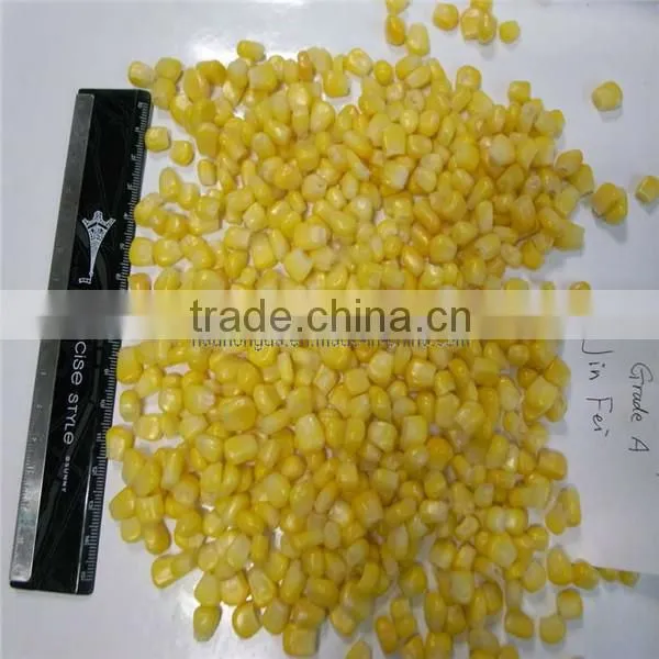 NEW FROZEN WHOLE KERNEL CORN JINFEI SWEET CORN