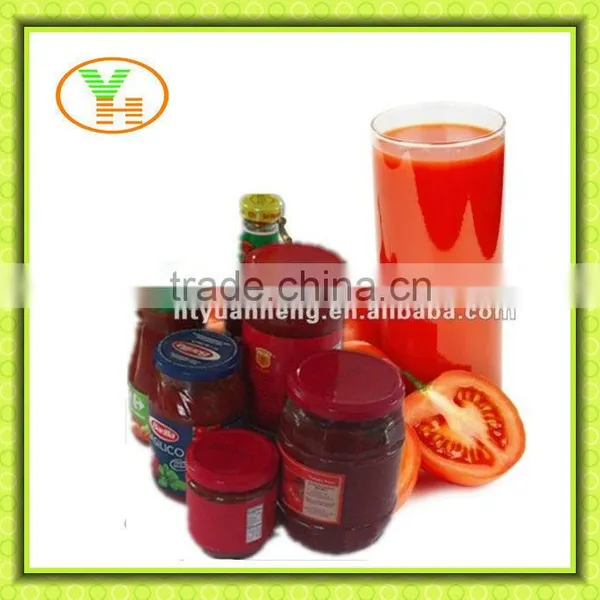 140g-700g Glass Jar Tomato Paste Processing Plant in China
