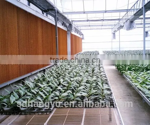 Evaporative Cooling Pad Used for Greenhouse photo-5
