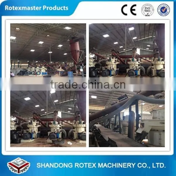 High Efficiency Factory Price Biomass Pine Wood Cat Litter Pellet Machine photo-4
