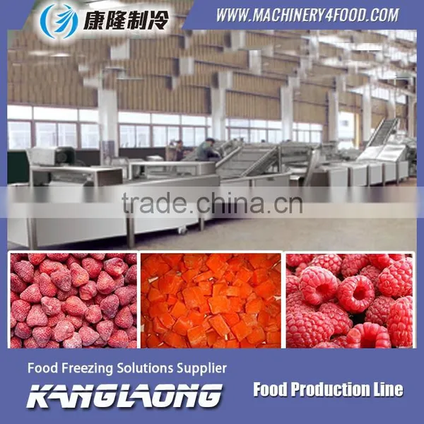 Hot Selling fruit processing line
