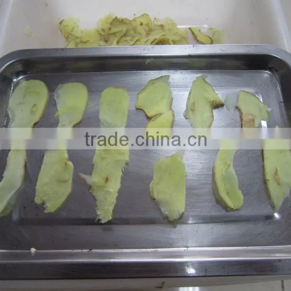 China Supply YSP-10 Automatic Ginger Slicing Machine Garlic Slicer Ginger Garlic Slicing Cutting Machine for Root Vegetables photo-6