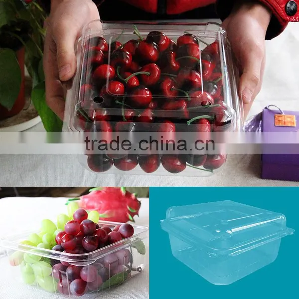 Disposable Fruit Plastic Packaging Container for Blueberry photo-3