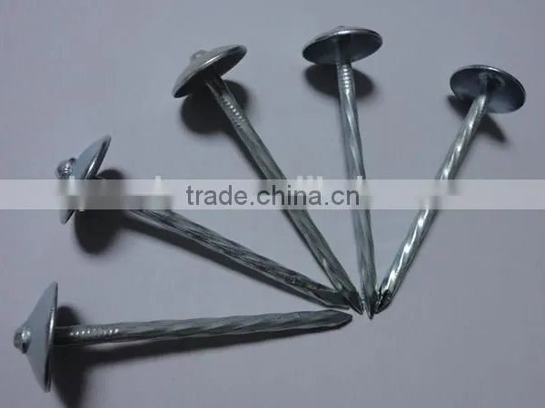 Best Price Umbrella Head Smooth Plain Shank Roofing Nail Made in China photo-2