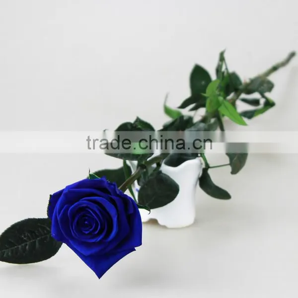 Wholesale Beautiful Real Natural Preserved Flower Preserved Rose With Stem photo-3