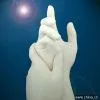 Sell Latex Exam Glove, Powdered (Smooth)