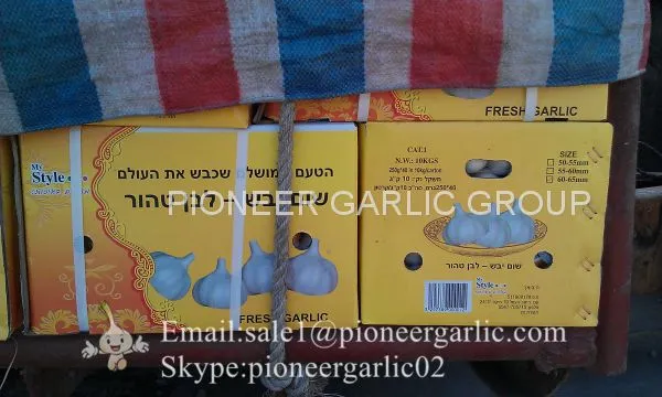 4.5-5cm,5-5.5cm Ajo Blanco Puro Fresco Chino Con Embalaje de Cajas de Cartón