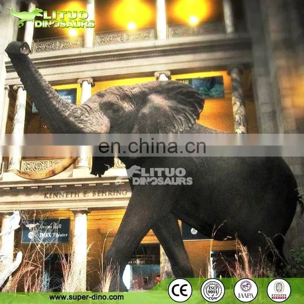 Professional Animatronic Elephant Model Life Size Elephant for Sale photo-5